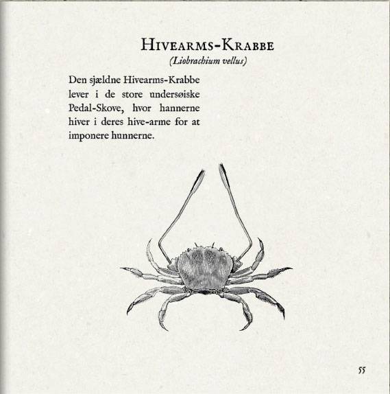 hivearmskrabbe.jpg hivearmskrabbe.jpg