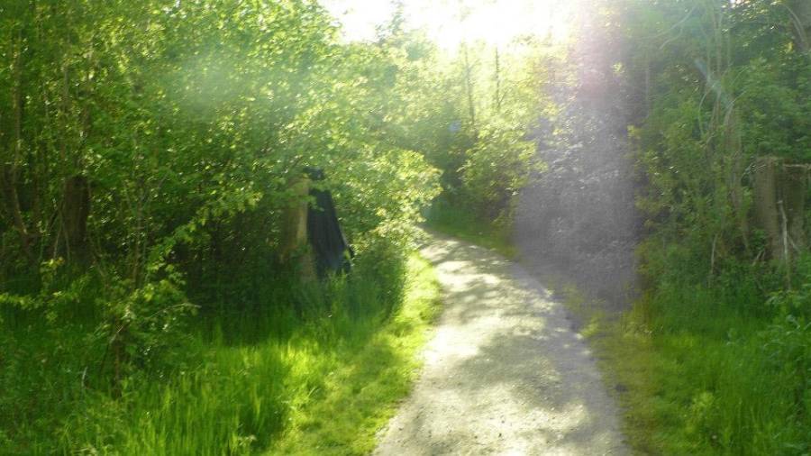 Bøhmanden fra Ugandaskoven Bøhmanden fra Ugandaskoven